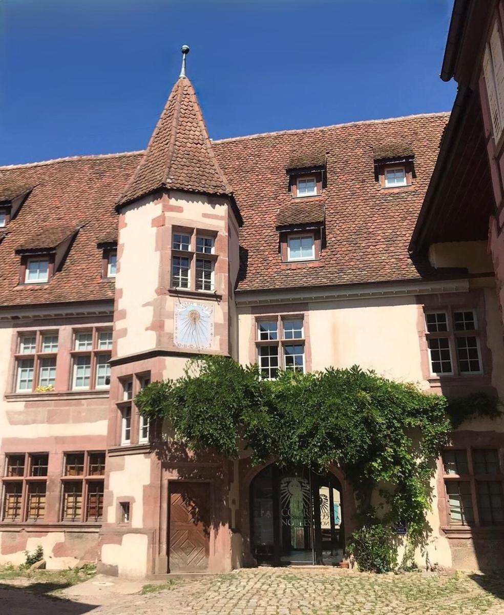 Domaine La Cour Des Nobles - Demeure, Maison Et Appartements Au Coeur De ريكفيهر المظهر الخارجي الصورة